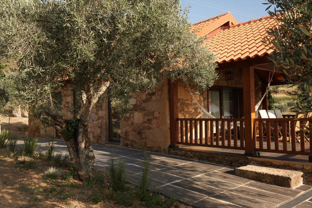 Quinta Vila Rachel - Winery Sao Mamede de Ribatua Exterior photo